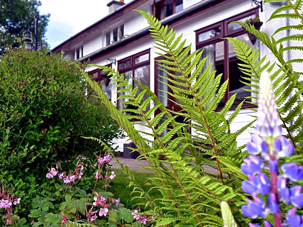 Ardlogie Guest House