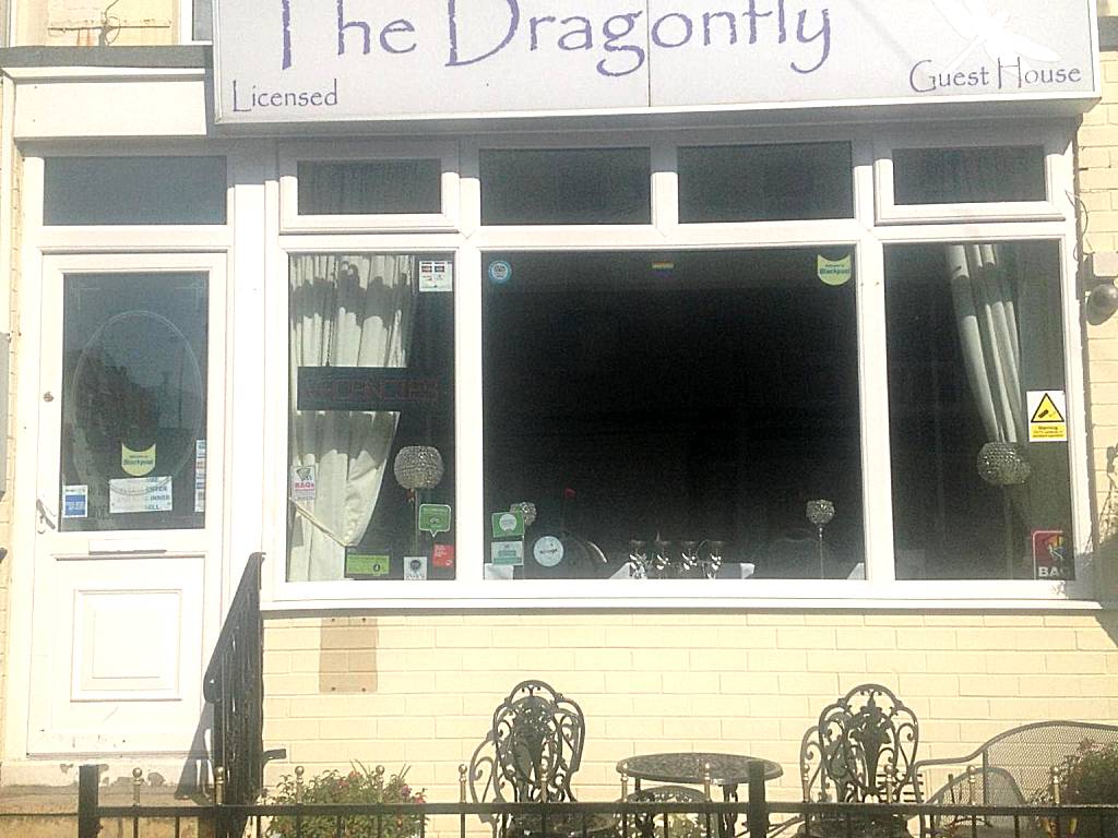 The Dragonfly