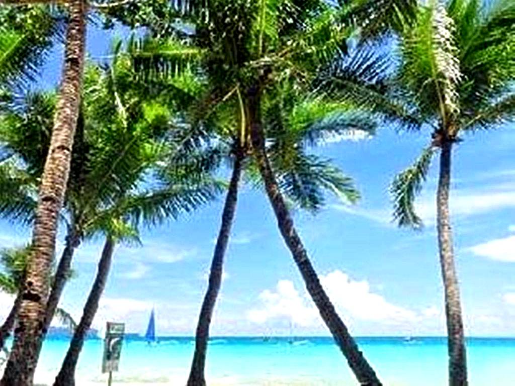 Boracay Coco Huts