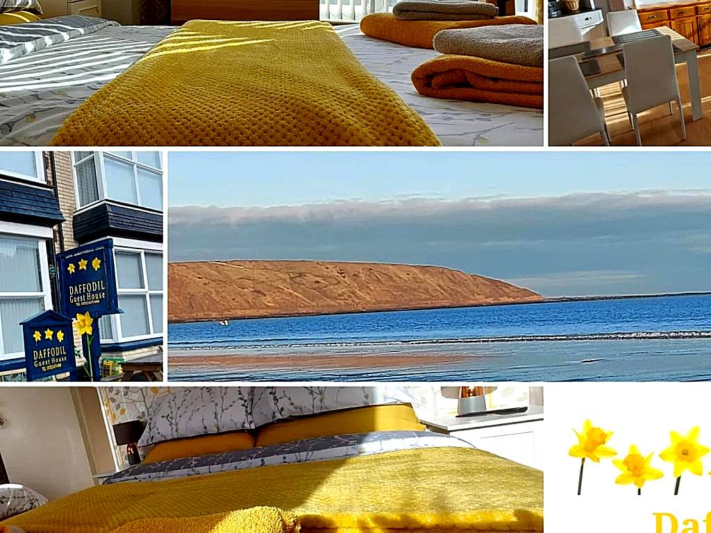 Daffodil Guest House