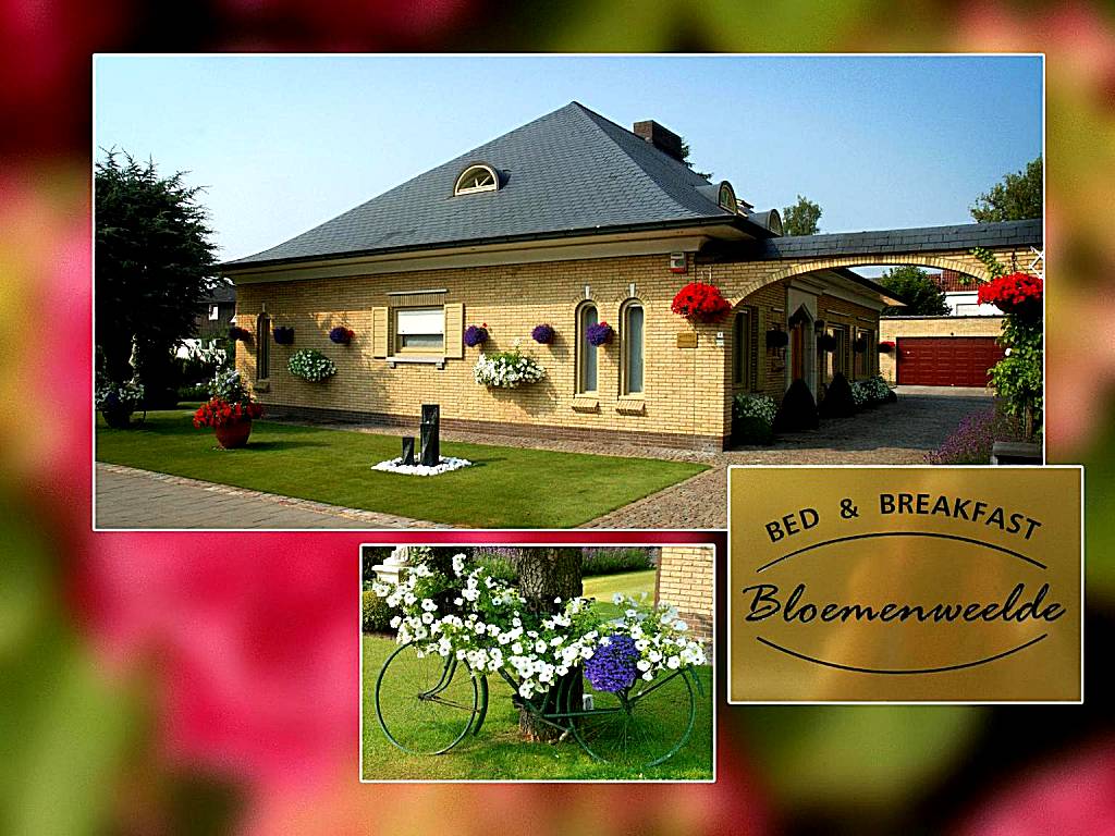 B&B Bloemenweelde