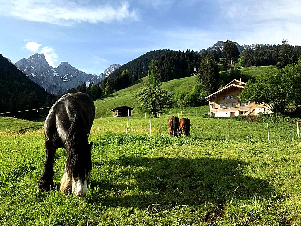 Au Pré des Chevaux (Chateau-d'Oex) 