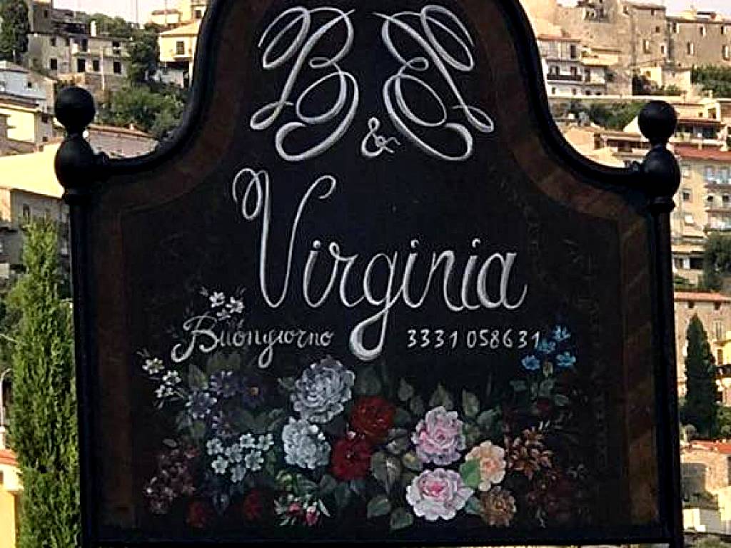 B&B VIRGINIA (Monte San Biagio) 