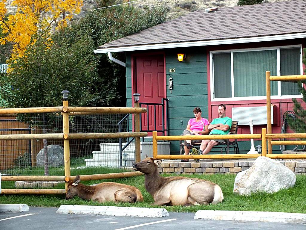 Yellowstone Gateway Inn (Gardiner) 