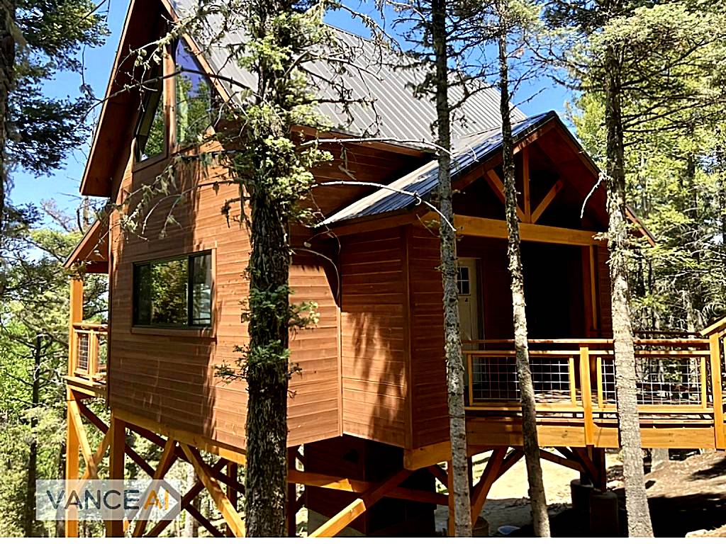 RidgeWalk Treehouse (Angel Fire) 