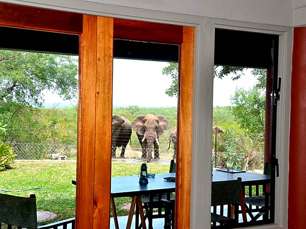 Bed in the Bush - Tingala Lodge