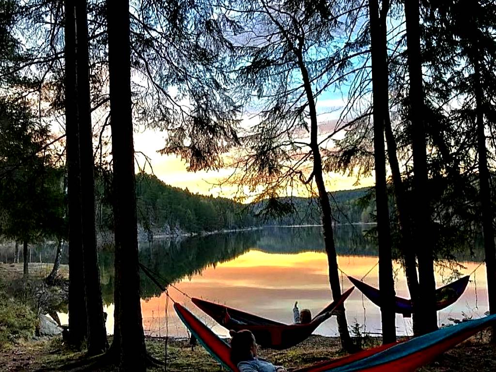 Hammock sleepover by the lake