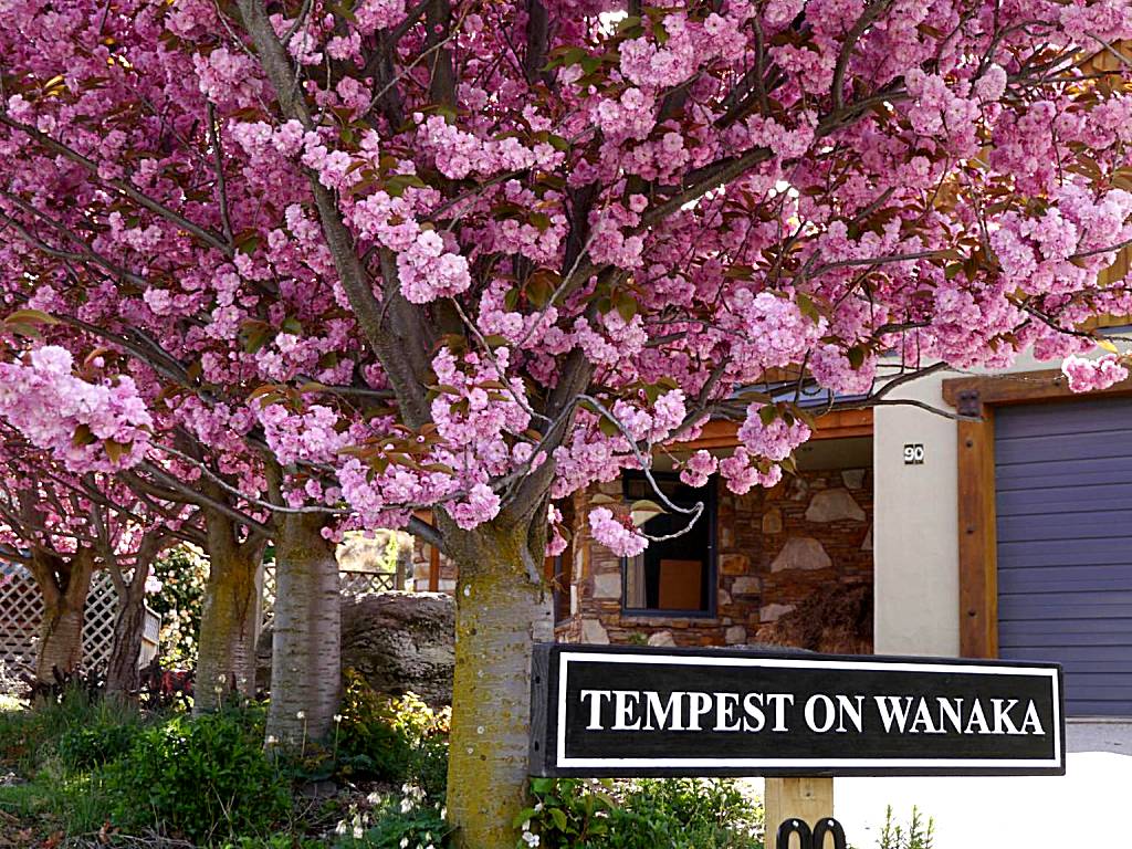 Tempest on Wanaka